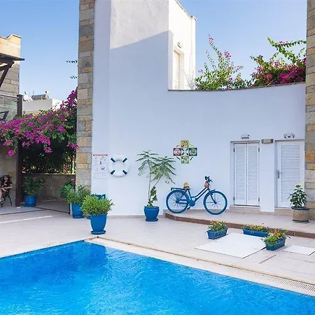 Hotel Cotton Boutique 3*