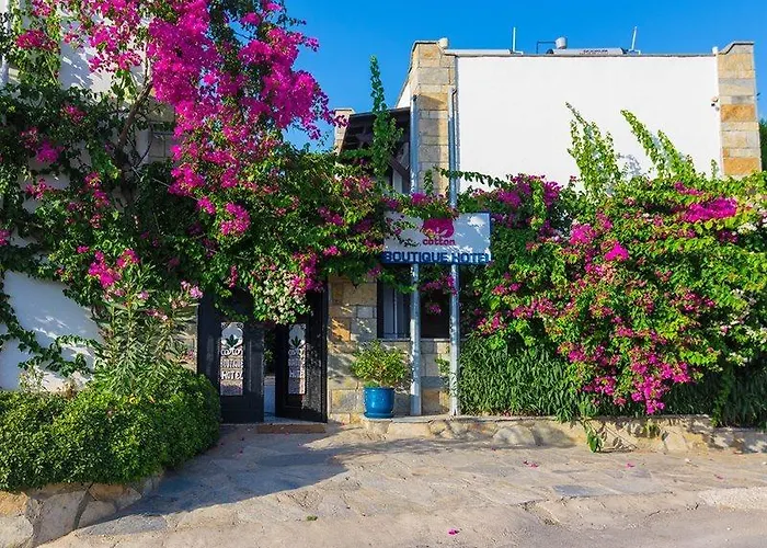Hotel Cotton Boutique