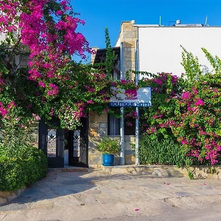 Hotel Cotton Boutique