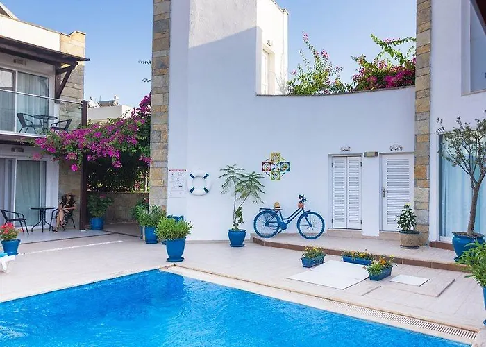 Hotel Cotton Boutique 3*