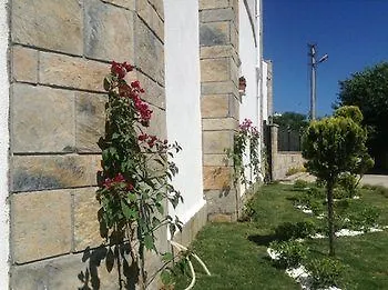 Cotton Boutique Otel 3*