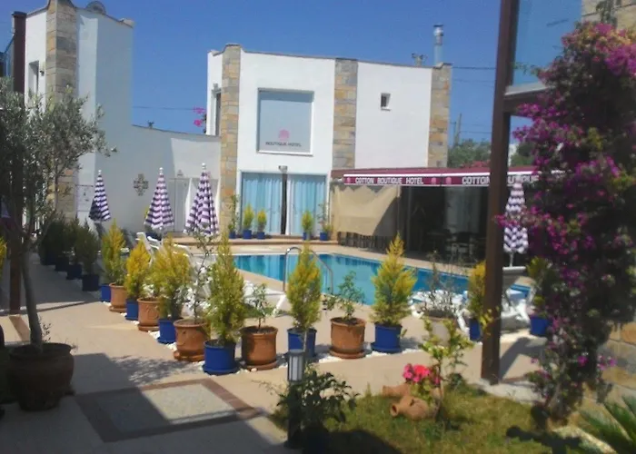 Hotel Cotton Boutique 3*